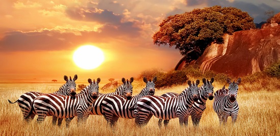 African destinations